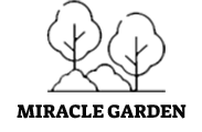 Miracle Garden